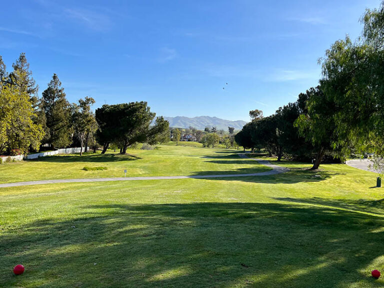 Tree-lined fairway at Ridgemark Golf Club & Resort with mountain views in the distance.